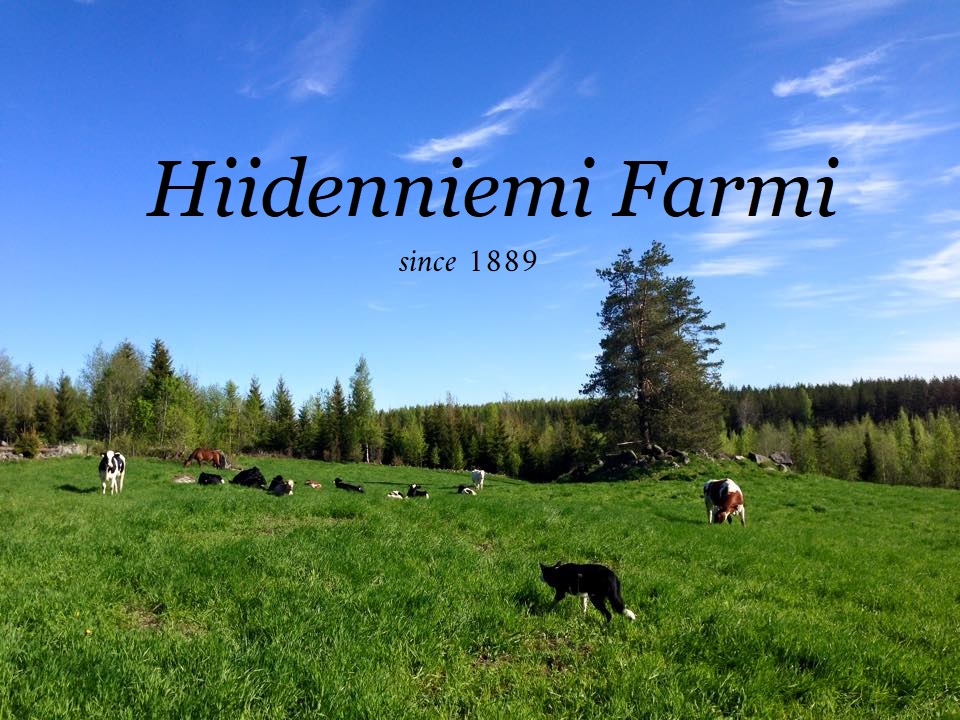 Hiidenniemi Farmi