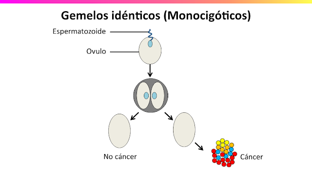 6.6 - Epigenetica y Nutrigenómica | Nutrición y estilo de vida ...
