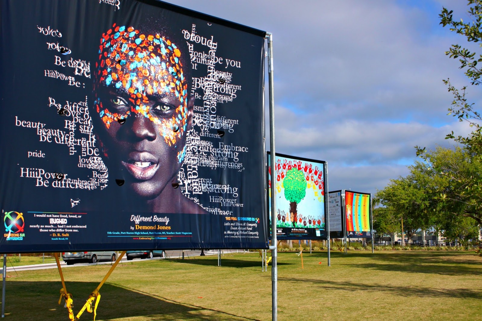 MadSnapper Embracing Our Differences Rossi Park