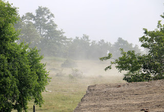 The early morning mist clearing from the fields The early morning mist clearing from the fields