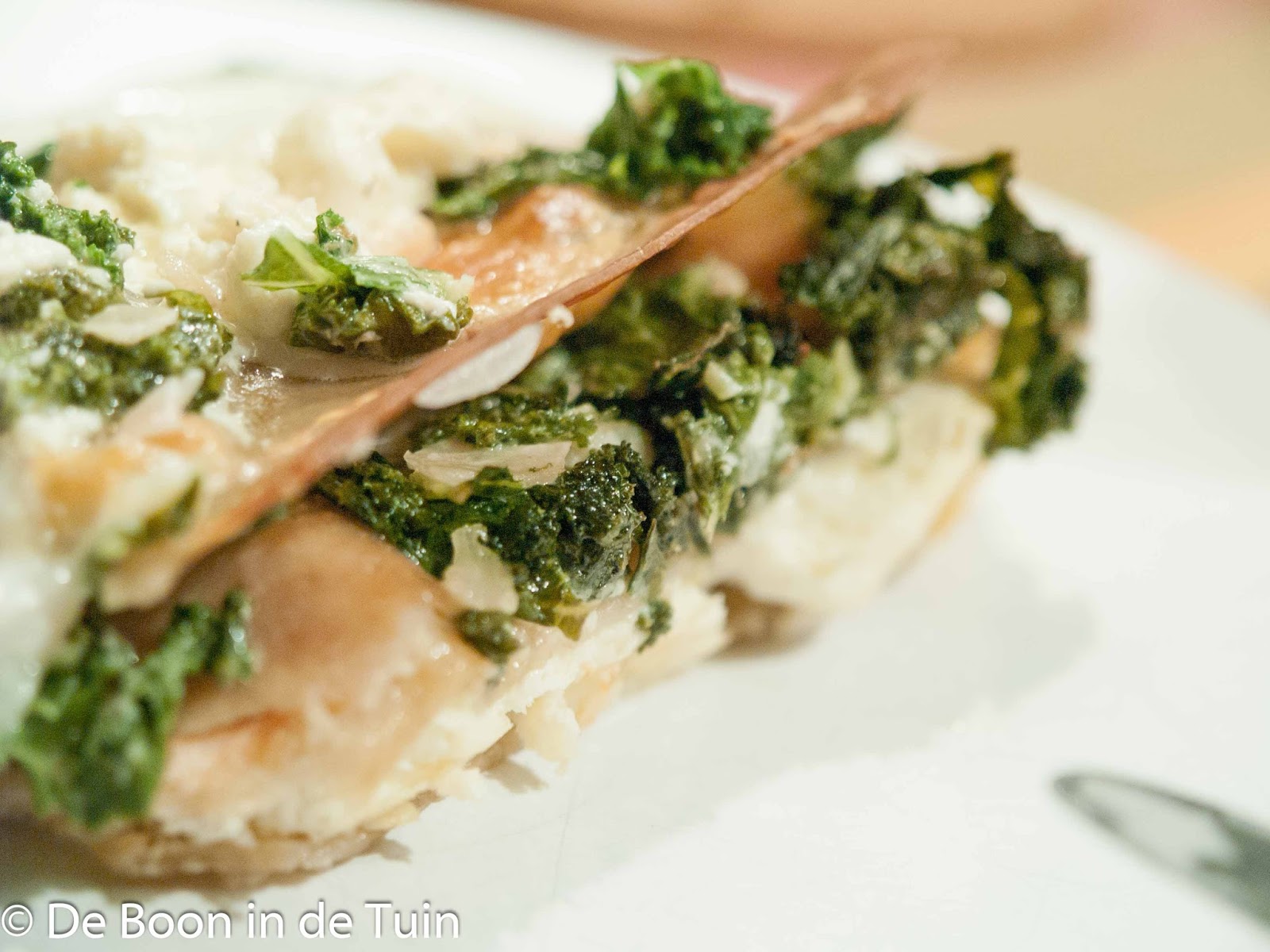Lasagne met Boerenkool en Zalm Recept De Boon in de Tuin