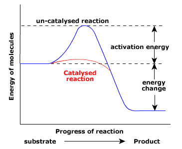 Biolis HL Blog: October 2013