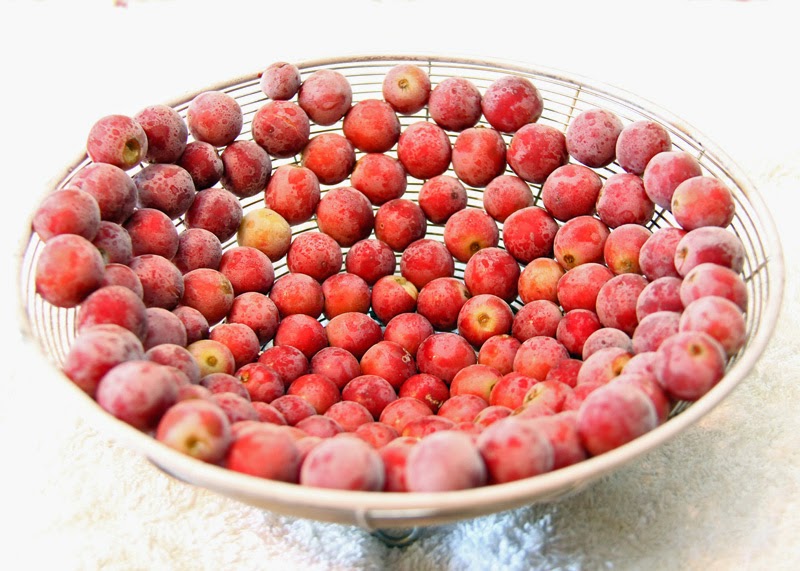 Freezing grapes in a colander.
