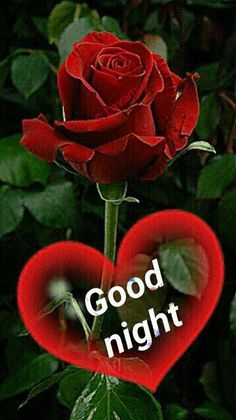 good morning sms with love