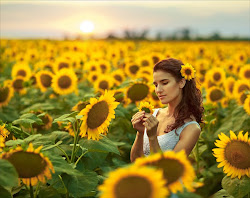 girasoles chica campo persona mas aparte teatro grupo punto sunflower sunflowers alucinantes nace nadie odiando ti