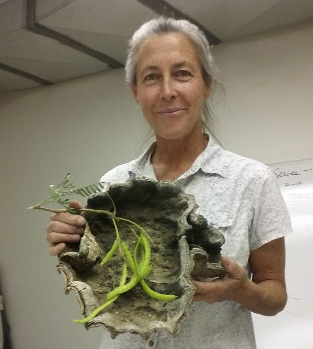 Sustainable Living Tucson Savoring Tucson's edible palo verde and mesquite