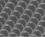 microled pannel structure