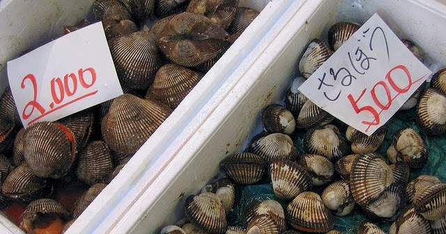 WARNING: Poisonous Shellfish Being Sold In Baguio City
