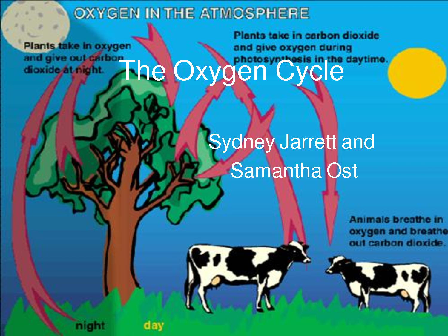 Use carbon dioxide. Carbon dioxide and Oxygen Cycle. Carbon dioxide and Oxygen Cycle Night. The Legacy of Carbon dioxide. Carbon Cycle diagram for Science Education.
