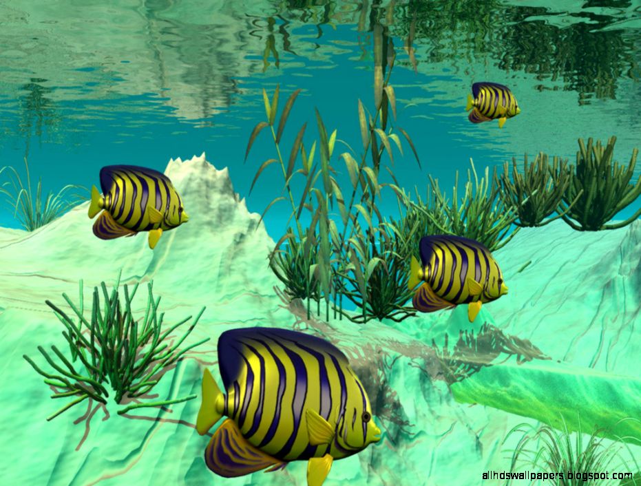 Free 3D Fish Tank Screensaver