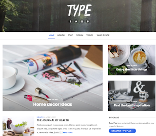 Type Theme of top 10 free wordpress themes