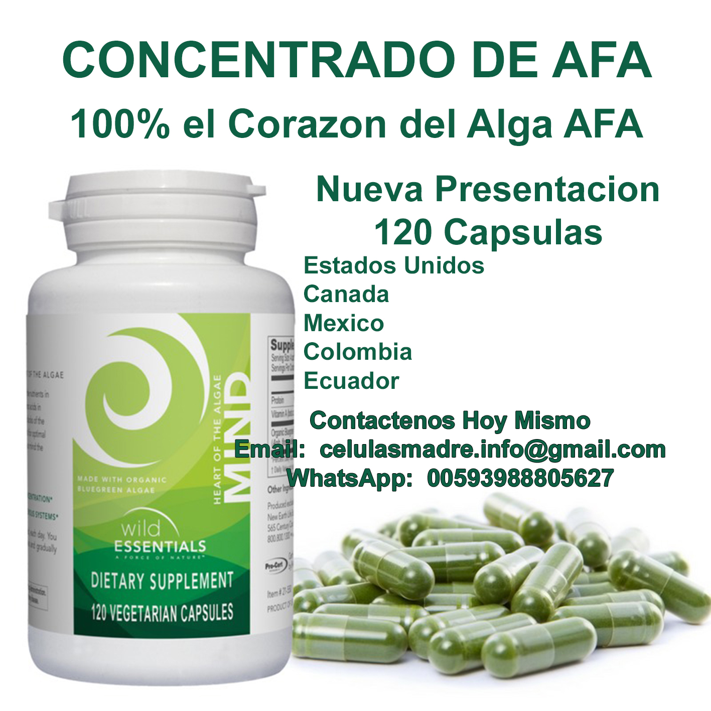 Celulas Madre. StemTech Ecuador. Telf. 099 681 8182 Celulas Madre. StemTech Ecuador. Telf. 099 681 8182