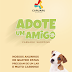 Shopping de Caruaru promove feira de adoção de animais no próximo domingo (20)