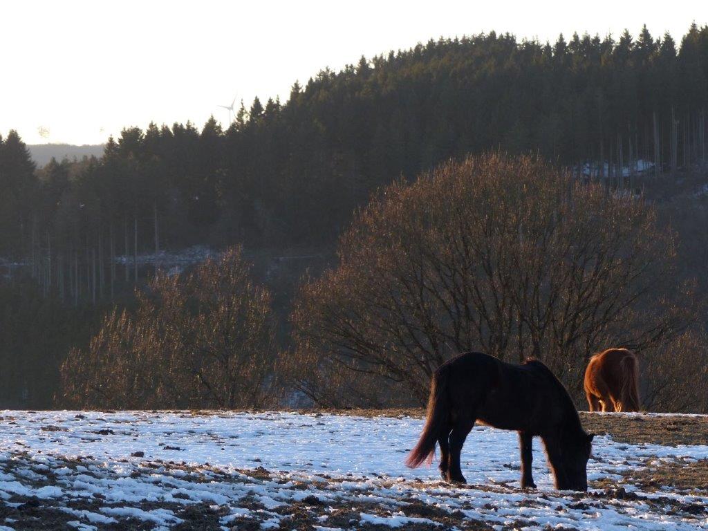 Eine Urlaubswoche In Blumenthal In Der Eifel Passenderweise In
