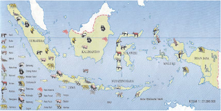 Peta persebaran fauna di Indonesia (Sumber: Atlas Indonesia, Dunia & Budaya, Depdikbud)