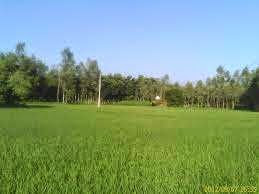 EIIN Number of Tangail Sadar Thana of Tangail Distict EIIN Number of