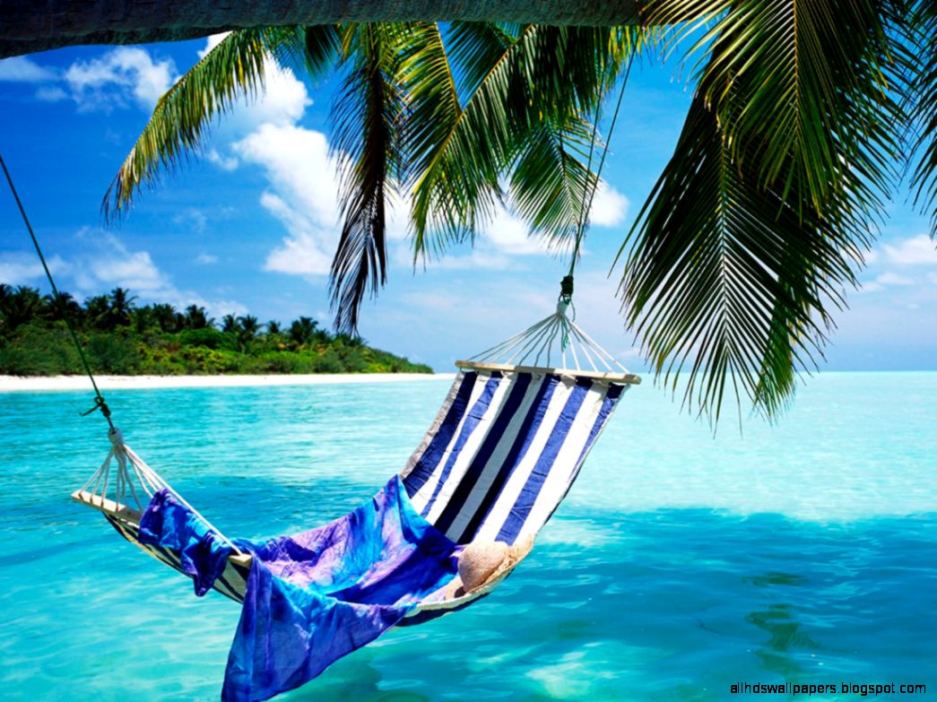 Hammock On Beach