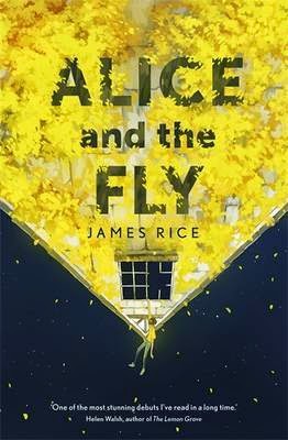 http://www.pageandblackmore.co.nz/products/843150?barcode=9781444799514&title=AliceandtheFly