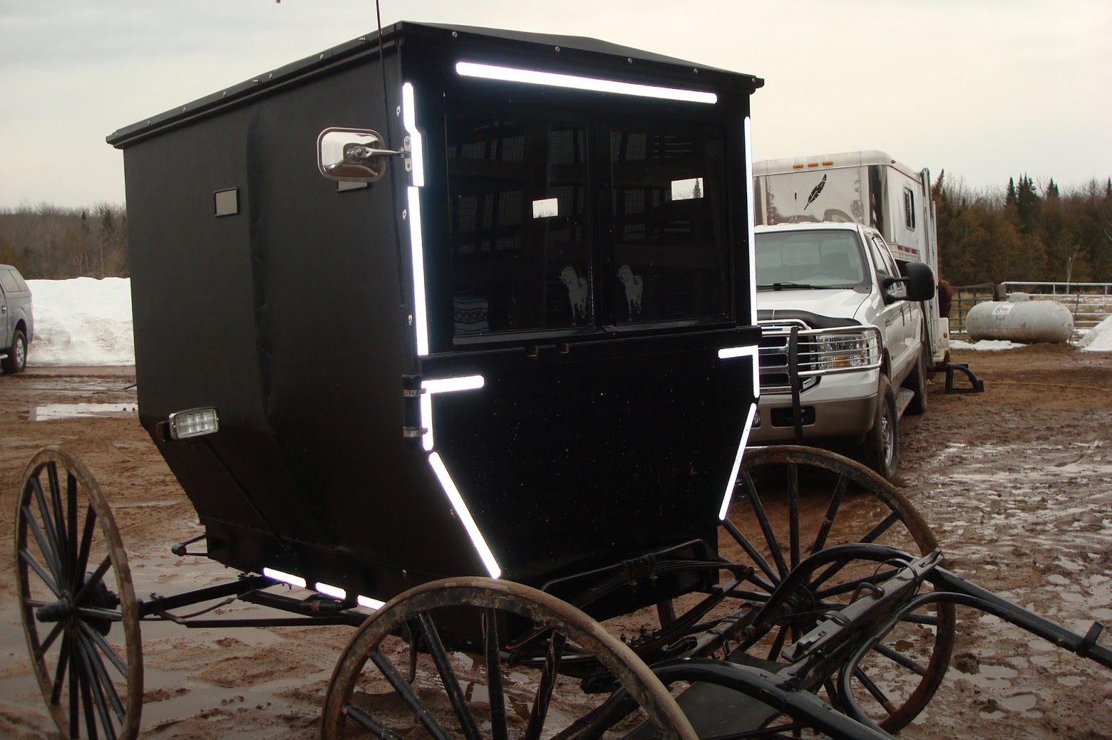 North Horse Auction Fever & Ten Dollar Horses Nolan Auction Report