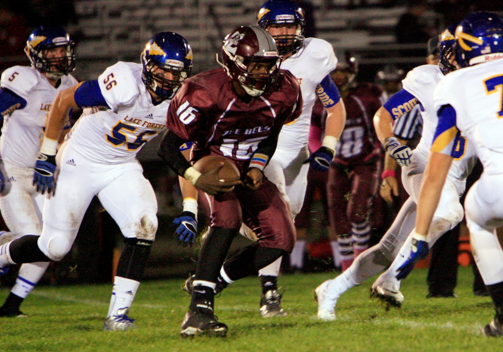 Lake Forest November 2016