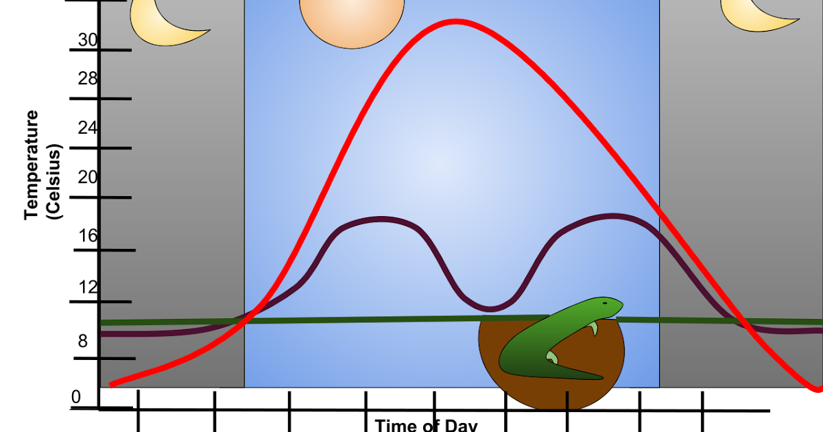 Pengertian AM dan PM Pada Penulisan Jam (Waktu) Pengertian Arti