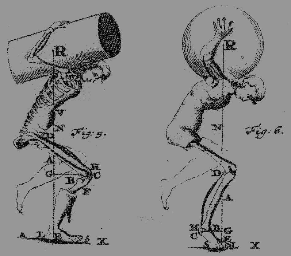 Биомеханика в футболе презентация