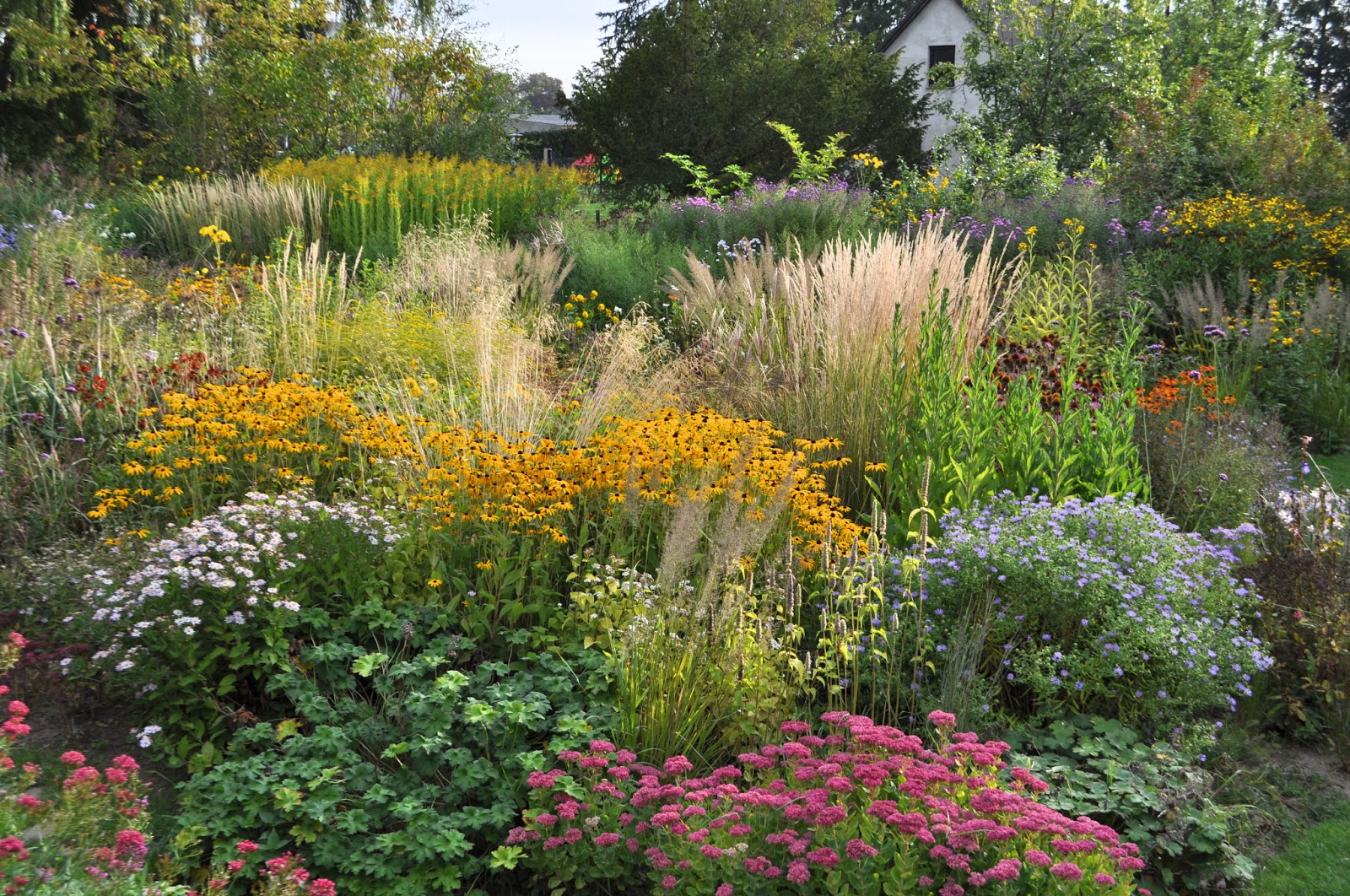 garten bilder kostenlos