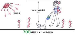 temperatura para cães temperatura para cães