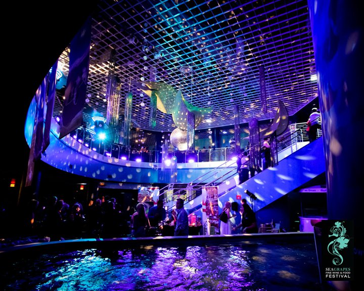 Bay Stage Lighting Reinventing the Disco Ball