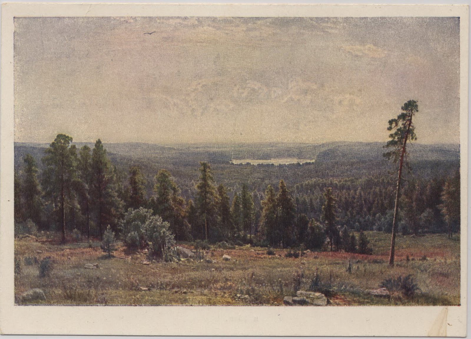 лесные дали шишкин през. лесные дали текст. лесные дали текст. и. лесные дали текст.