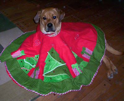 christmas tree skirt dog costume - turtlesandtails.blogspot.com