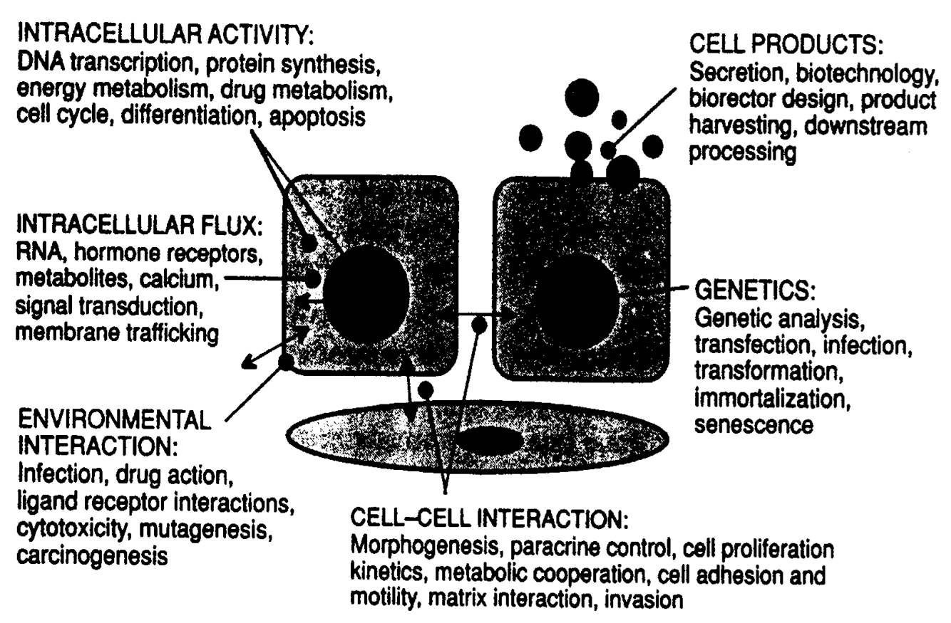 microbiology ADVANTAGES AND DISADVANTAGES OF TISSUE CULTURE