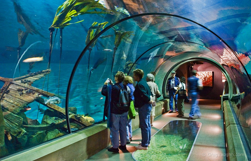 Tourism: Oregon Coast Aquarium - Oregon Coast Aquarium 4