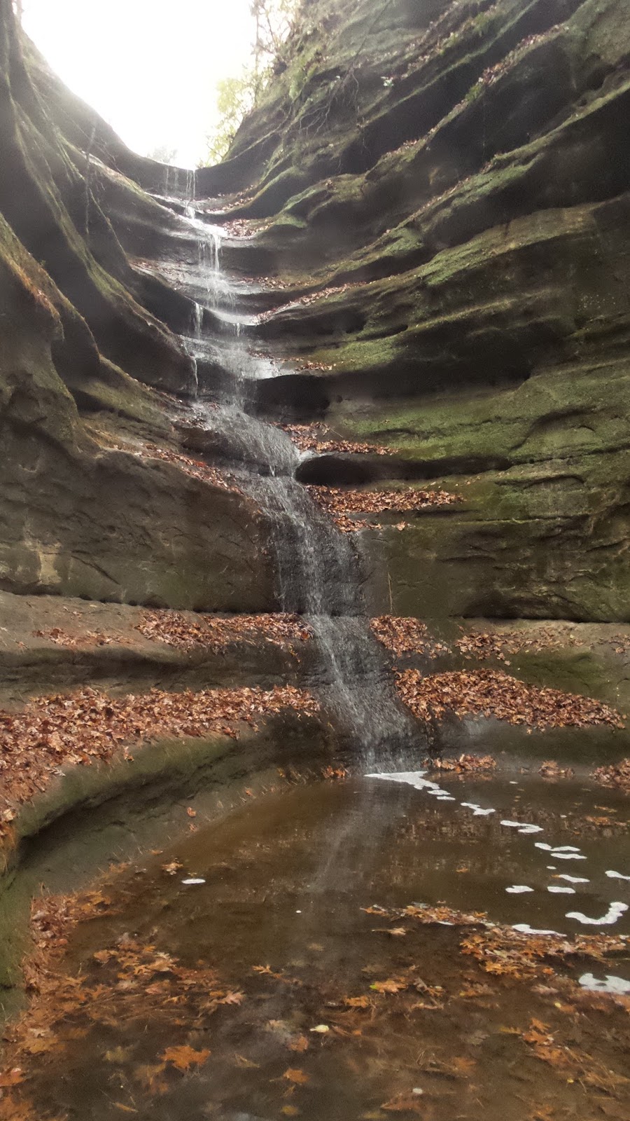 Hike Starved Rock Starved Rock, Lover's Leap, Eagles Cliff, Wildcat