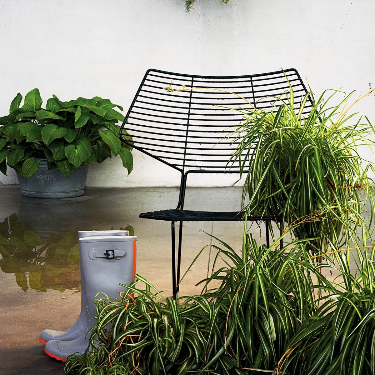 Appunti di casa Una casa nuova