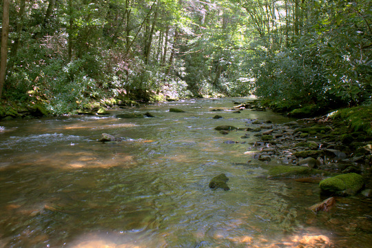 Cataloochee Creek in Cataloochee Valley