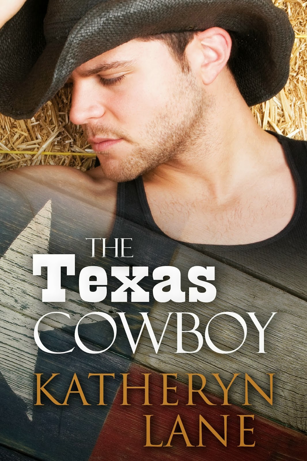 Paisley Brown Erotica: Everything's bigger in Texas, including the