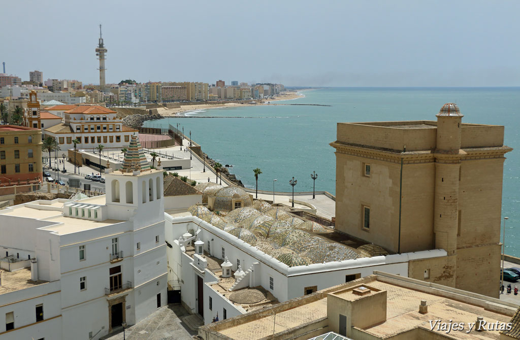 Catedral vieja, museo catedralicio y casa del obispo, Cádiz