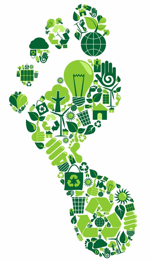 National Home Services Green Home Blog: What is Your Carbon Footprint?