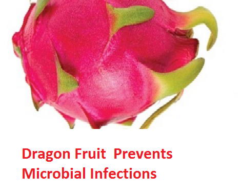 Dragon Fruit  Prevents Microbial Infections