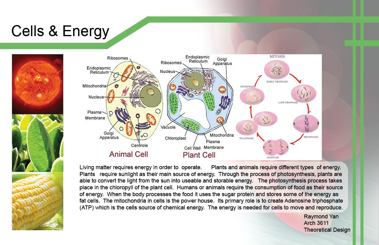 Theoretical Design Spring '11 Essentials of Life by Raymond Yan