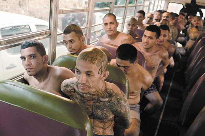 Varios prisioneros tatuados se dirigen en autobus a una prisión