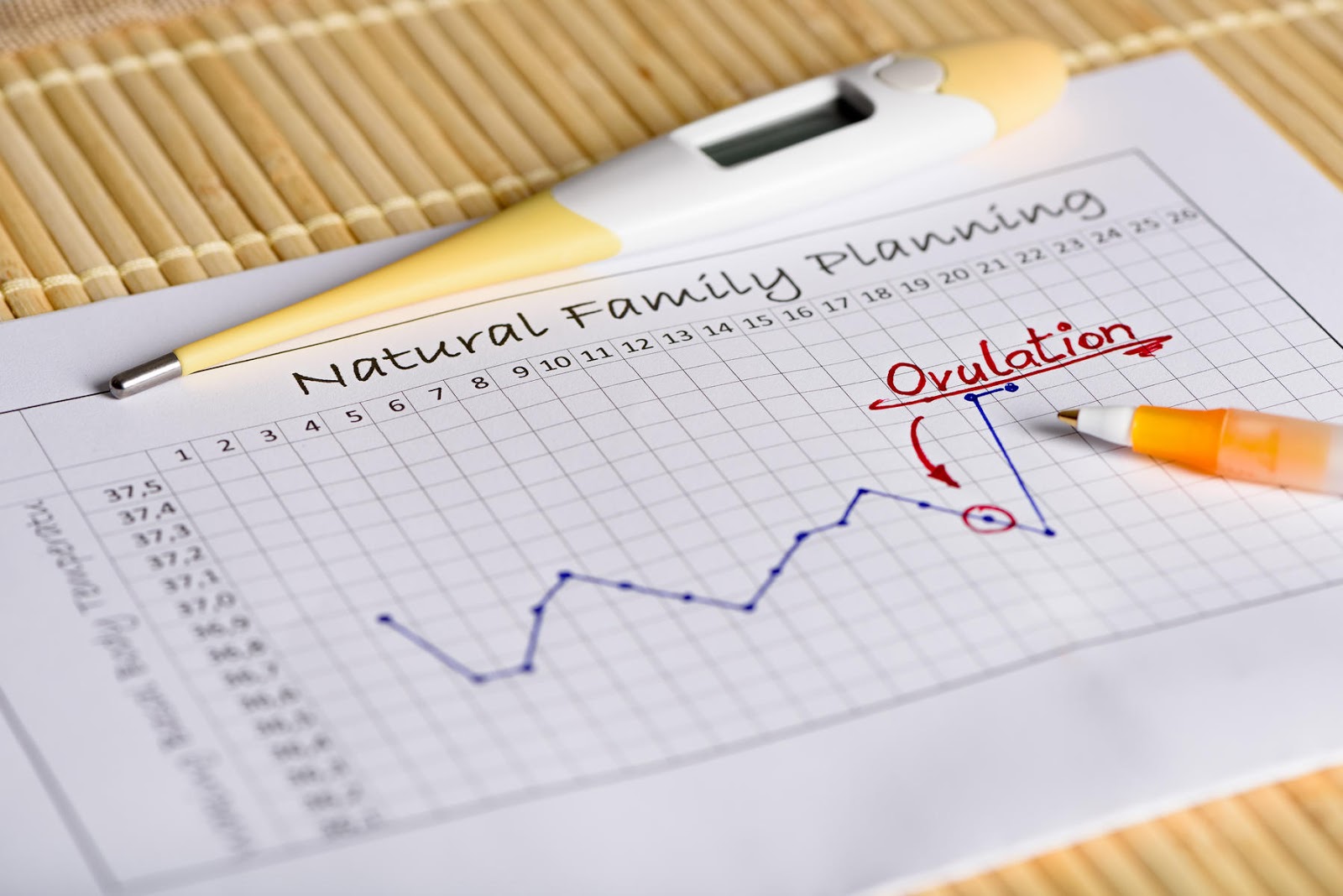 Life of an Earth Muffin Birth Control What is the Basal Body