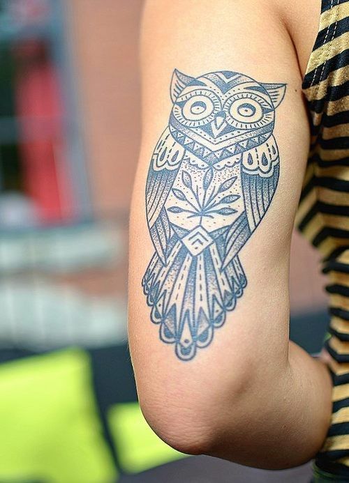 Gambar Tato Burung Hantu Di Lengan Gambar Burung Hantu