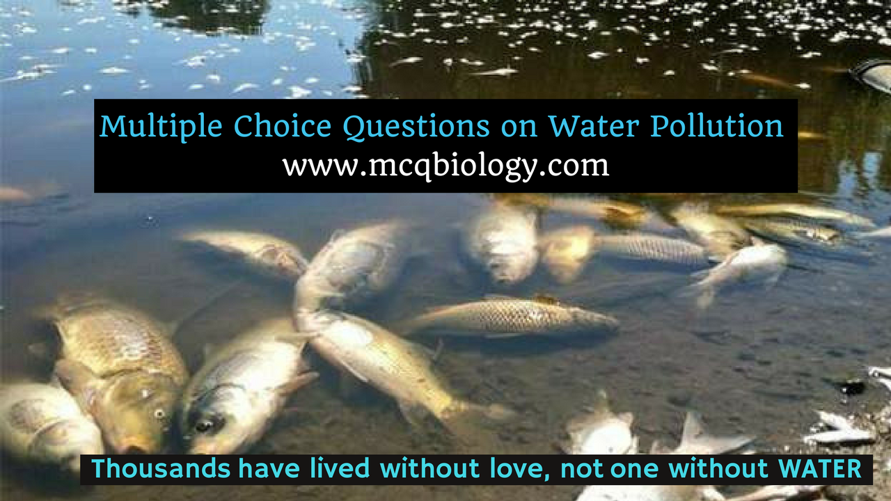 Multiple Choice on Water Pollution mcq