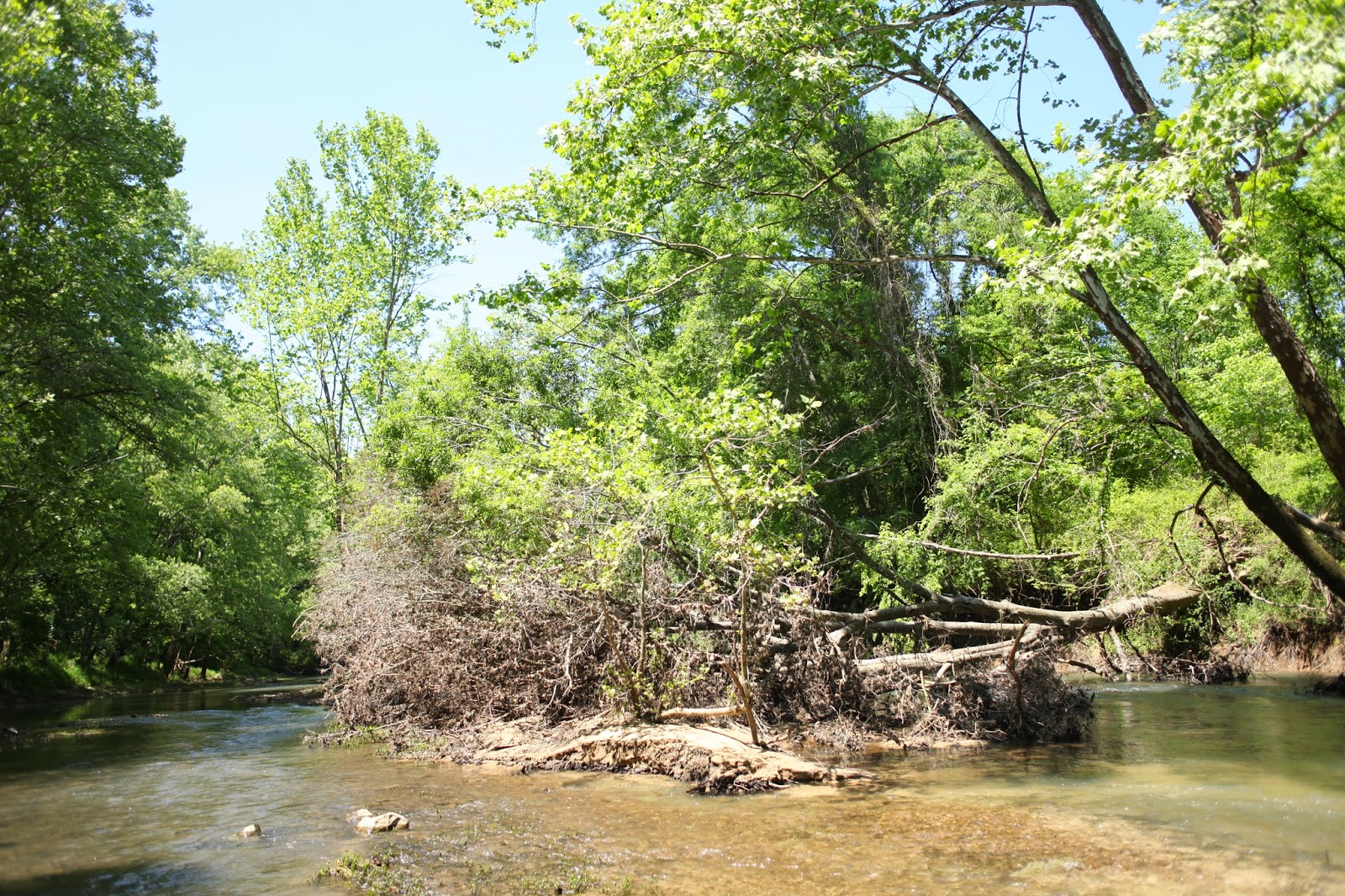Discovering Jackson County Float the Paint Rock River