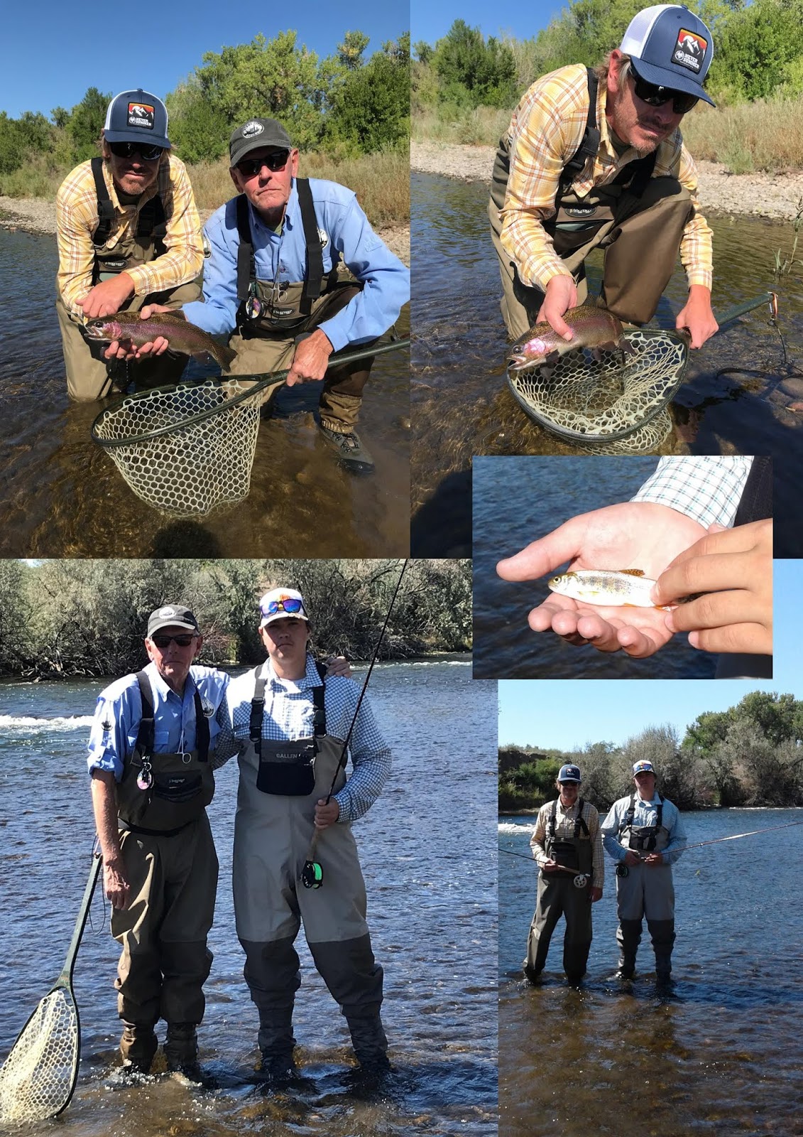 Arkansas River Tailwater Fly Fishing Report 2018
