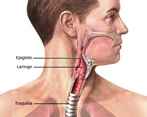 Câncer de laringe: Sintomas e tratamentos