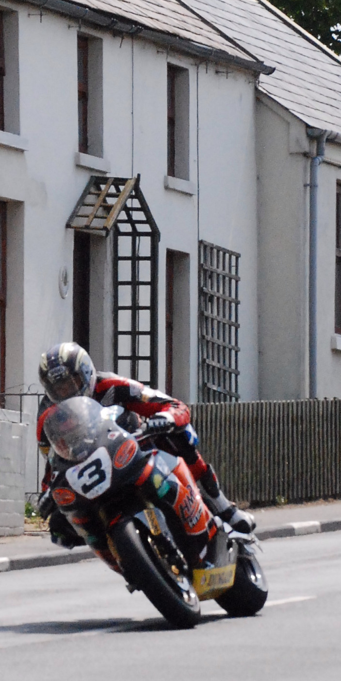 Future Plants By Randy Stewart Escallonia