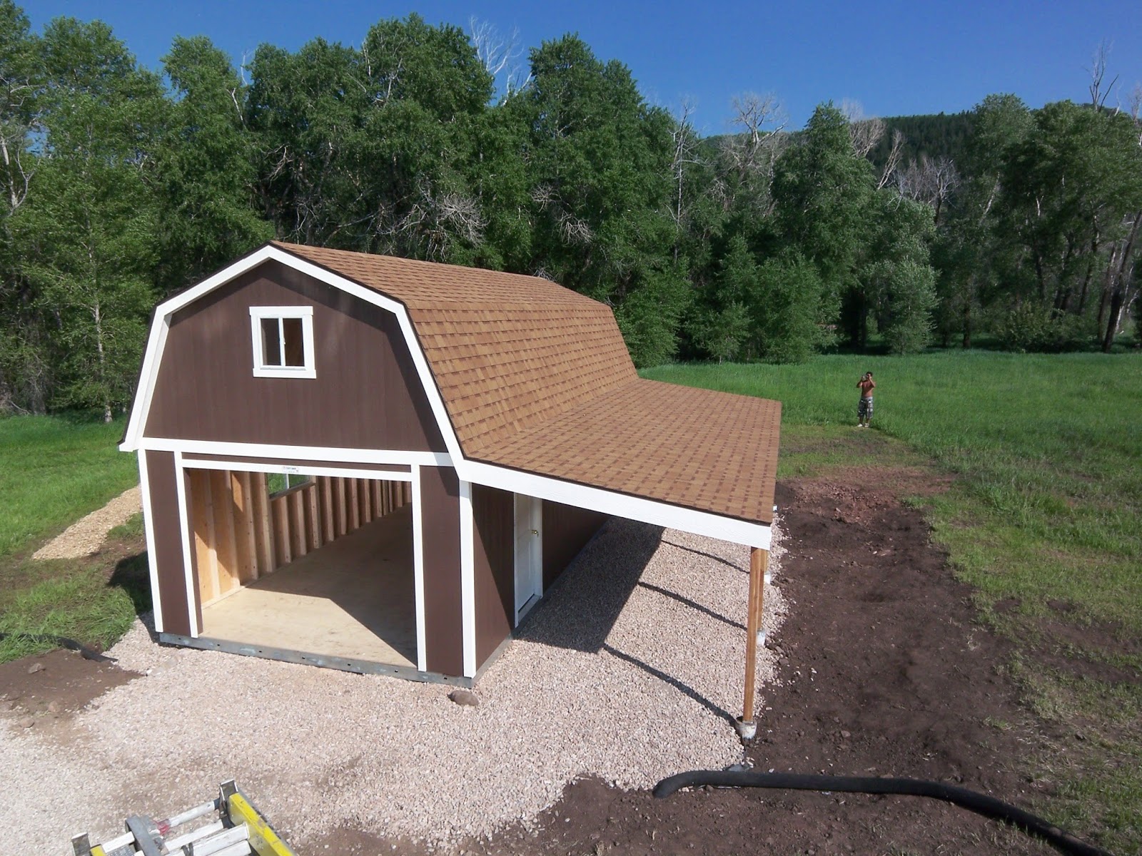 What Colour Should I Paint My Shed?